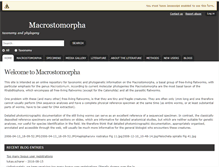 Tablet Screenshot of macrostomorpha.info